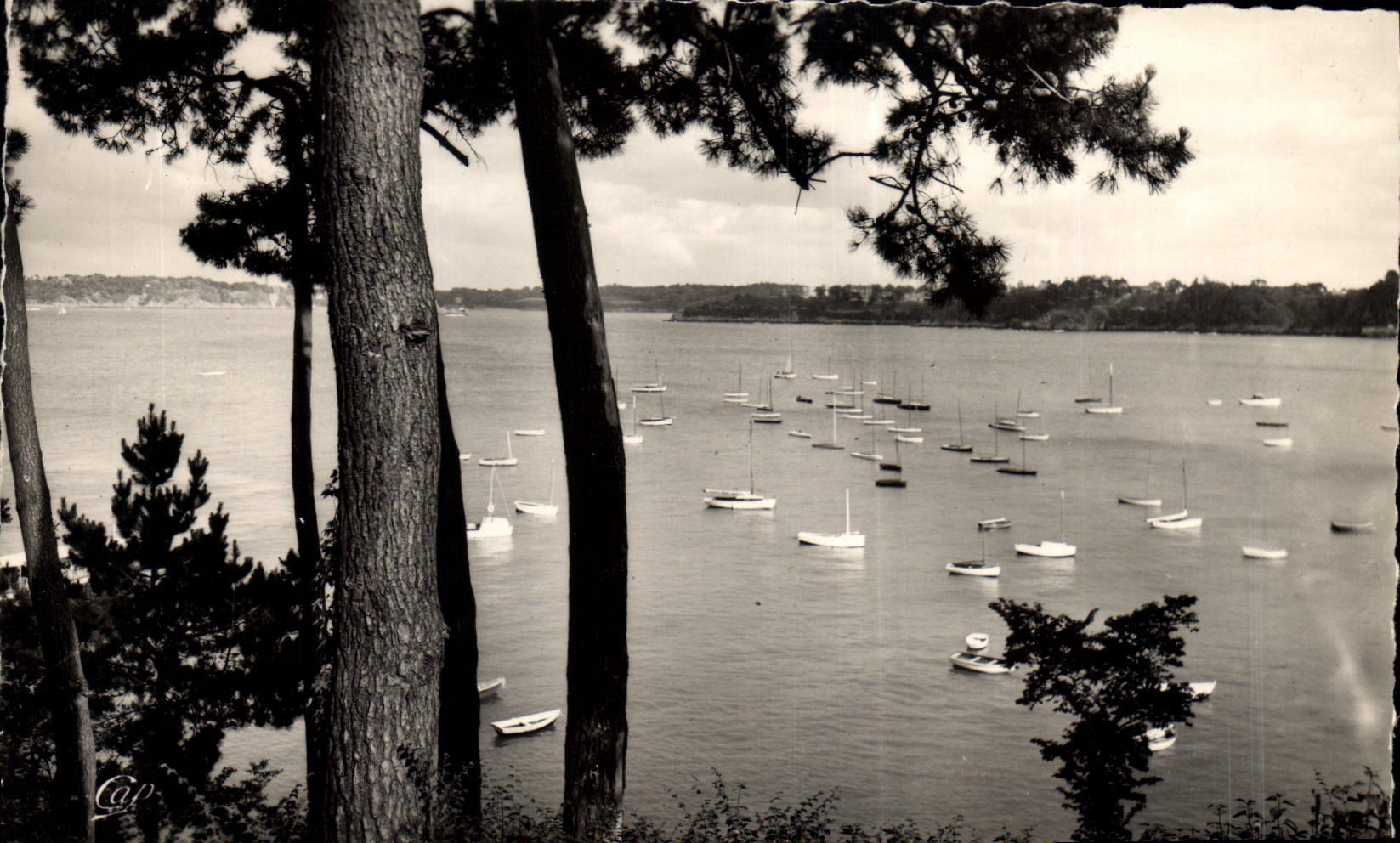 CPA Dinard Vue Du Bassin Des Yachts