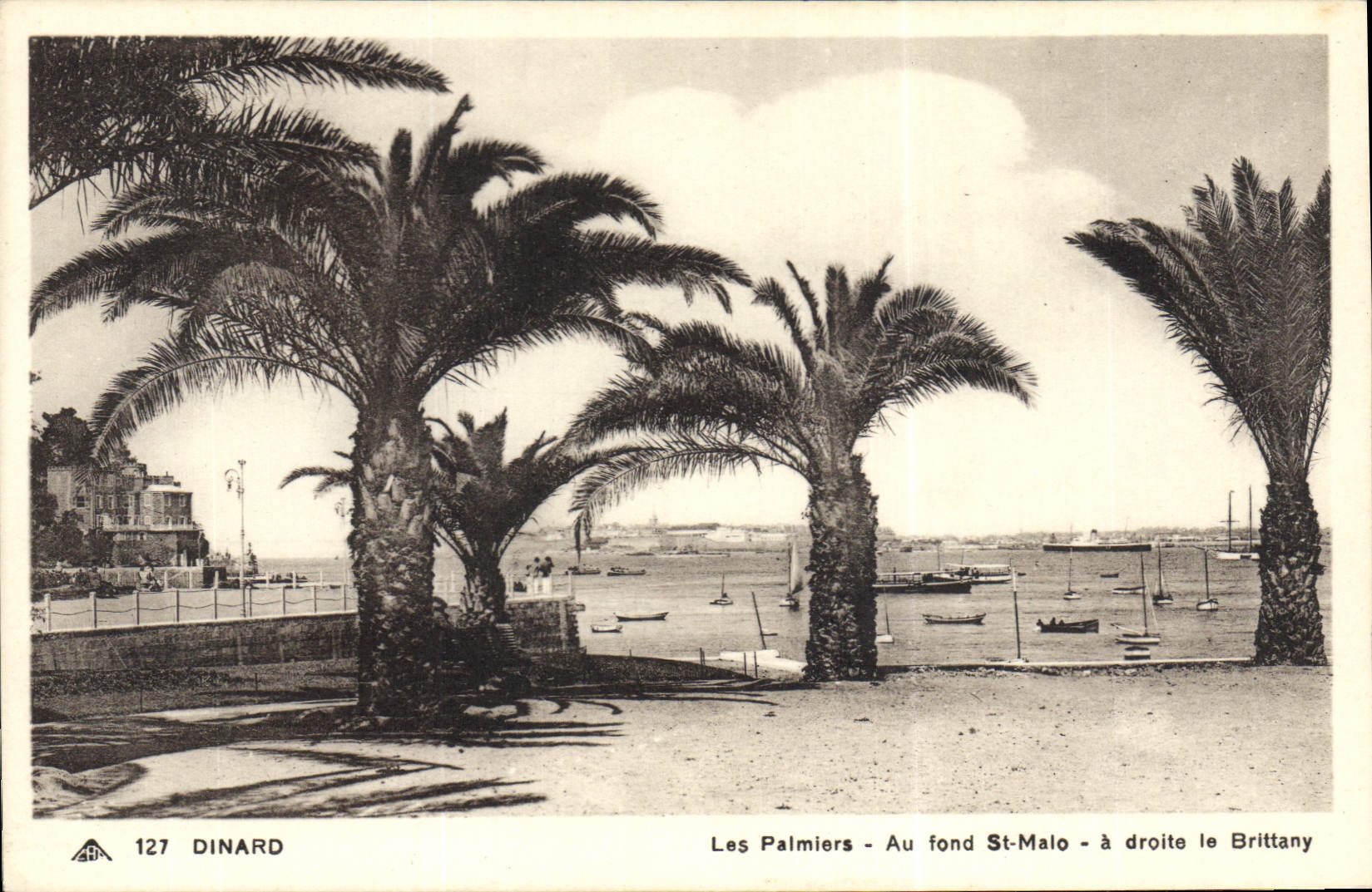 CPA Dinard Les Palmiers Au Fond St Malo Brittany