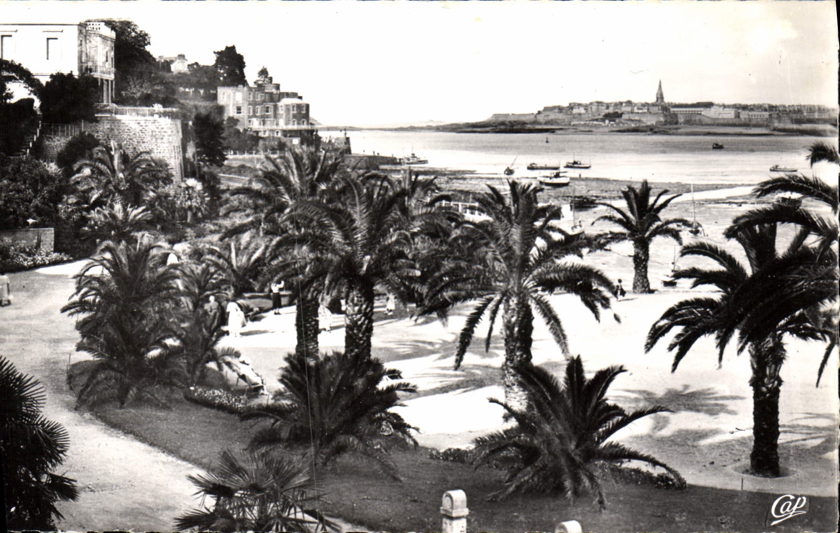 CPA Dinard La Palmeraie Au Fond Saint Malo