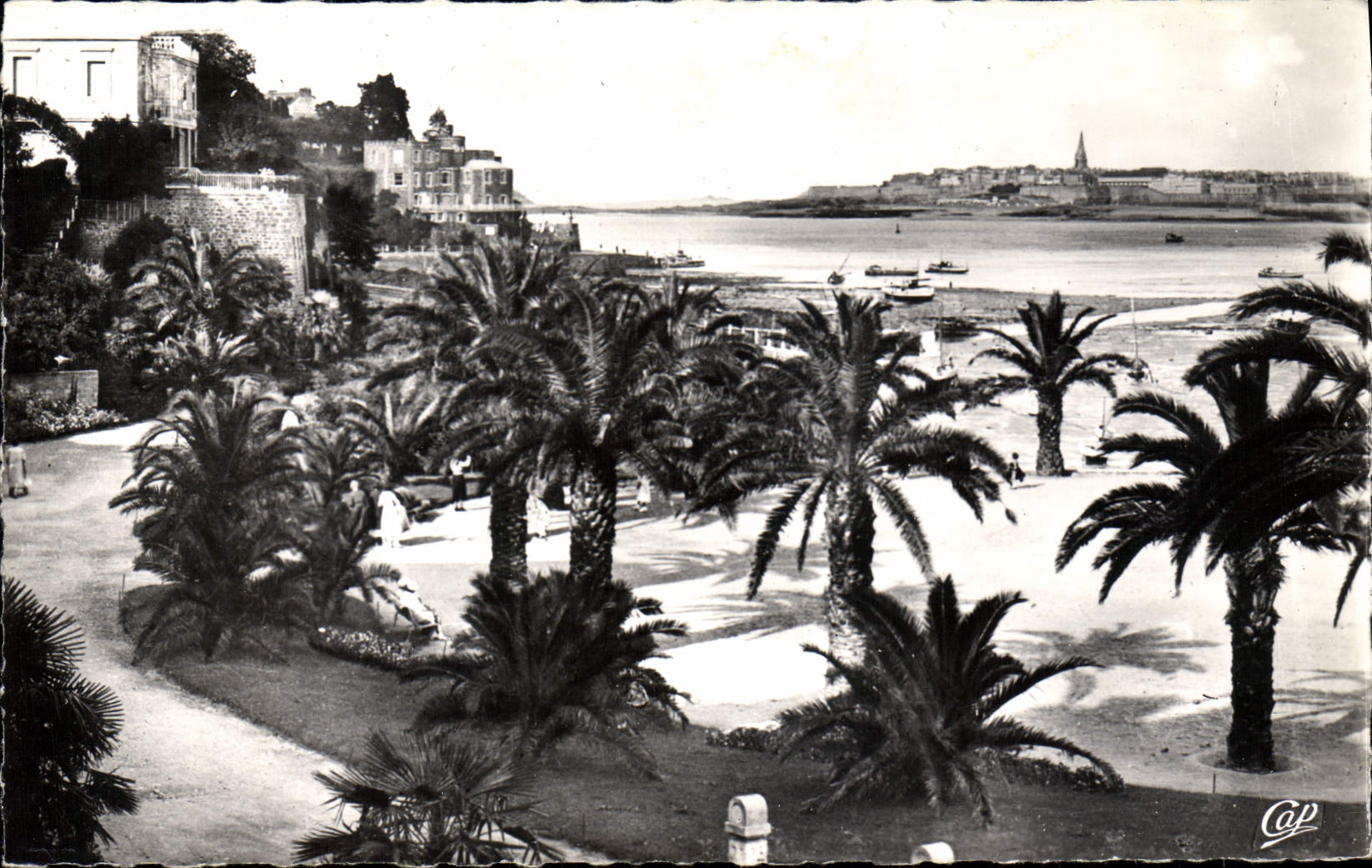 CPA Dinard La Palmeraie Au Fond Saint Malo