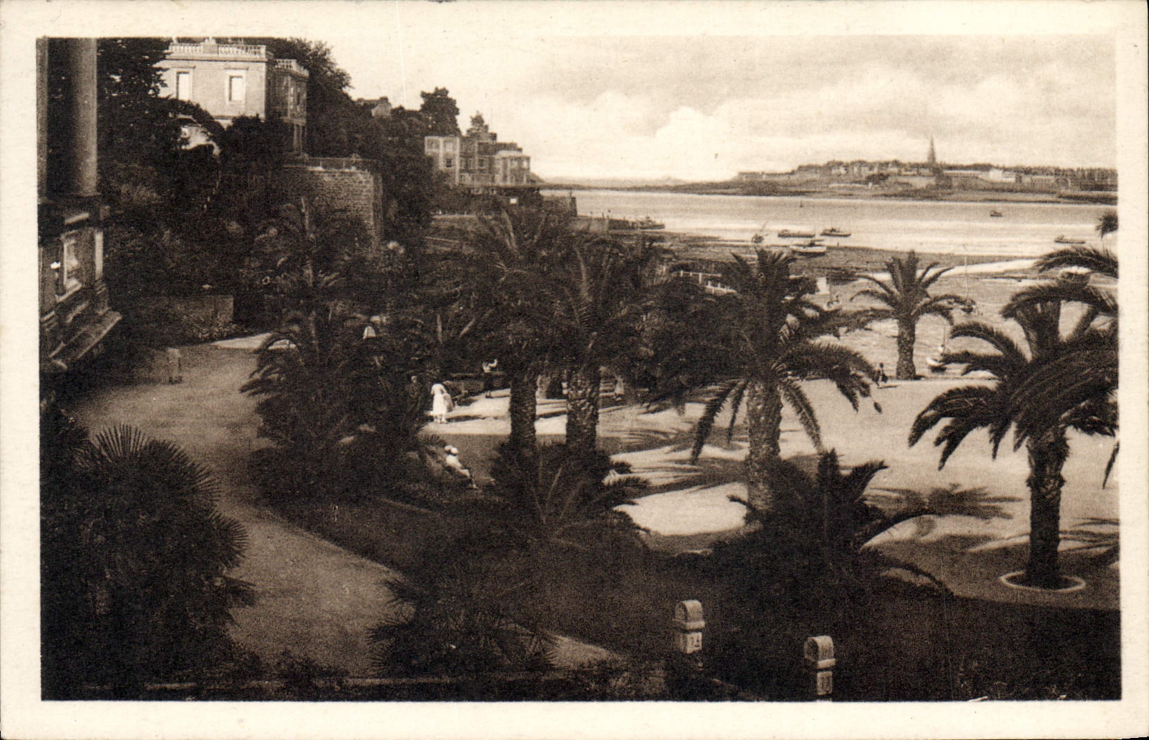 CPA Dinard La Palmeraie Au Fond St Malo