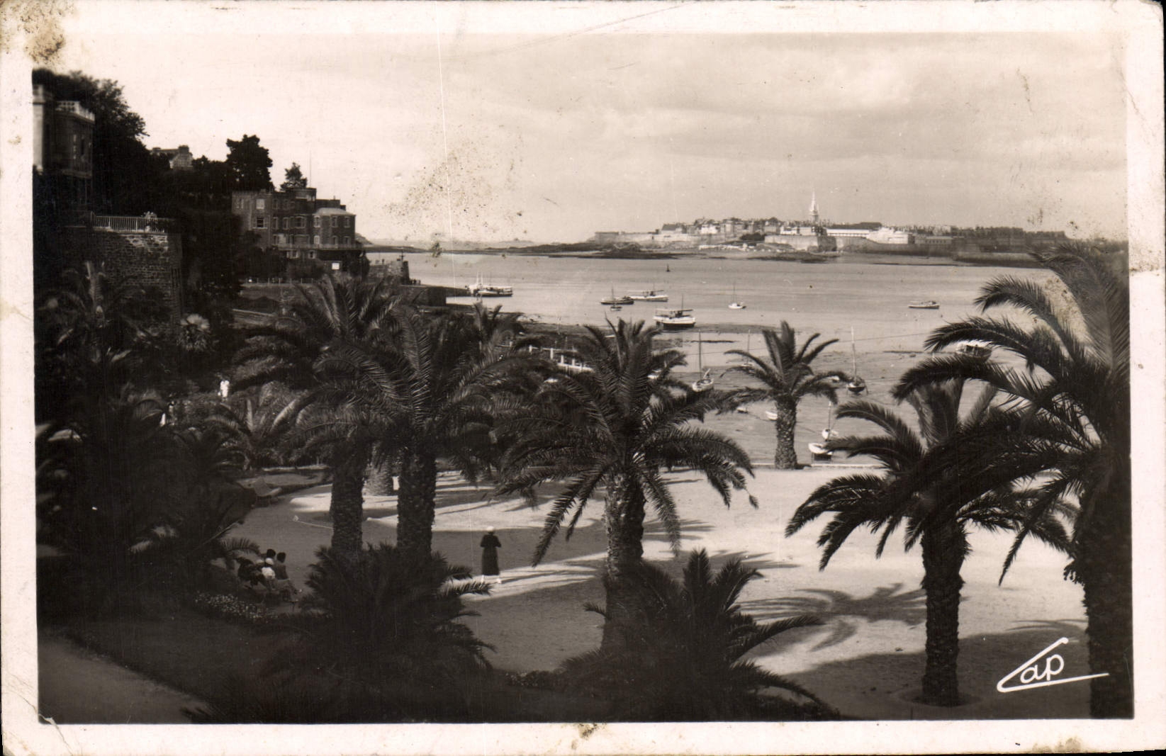 CPA Dinard La Palmeraie Au Fond St Malo