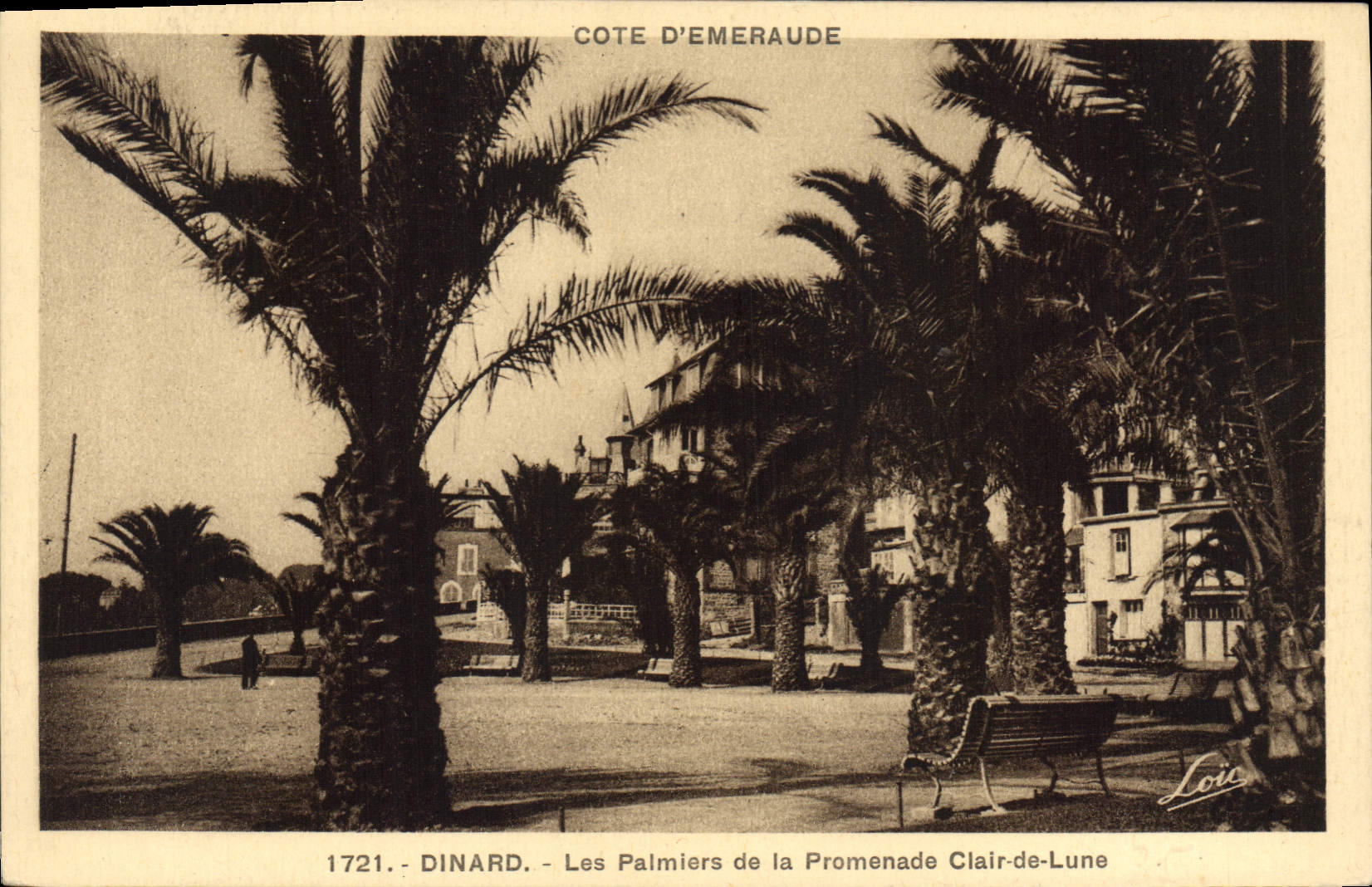 CPA Dinard Les Palmiers De La Promenade Clair De Lune