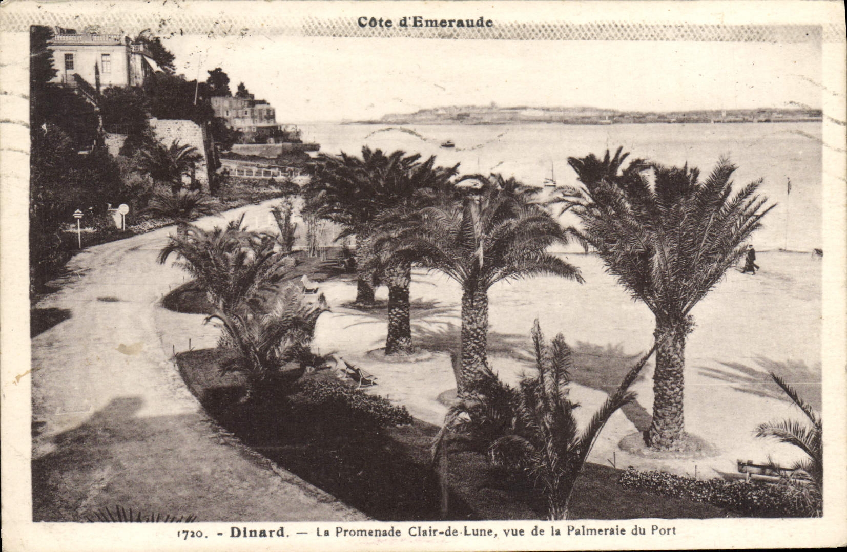 CPA Dinard La Promenade Clair De Lune palmeraie du port