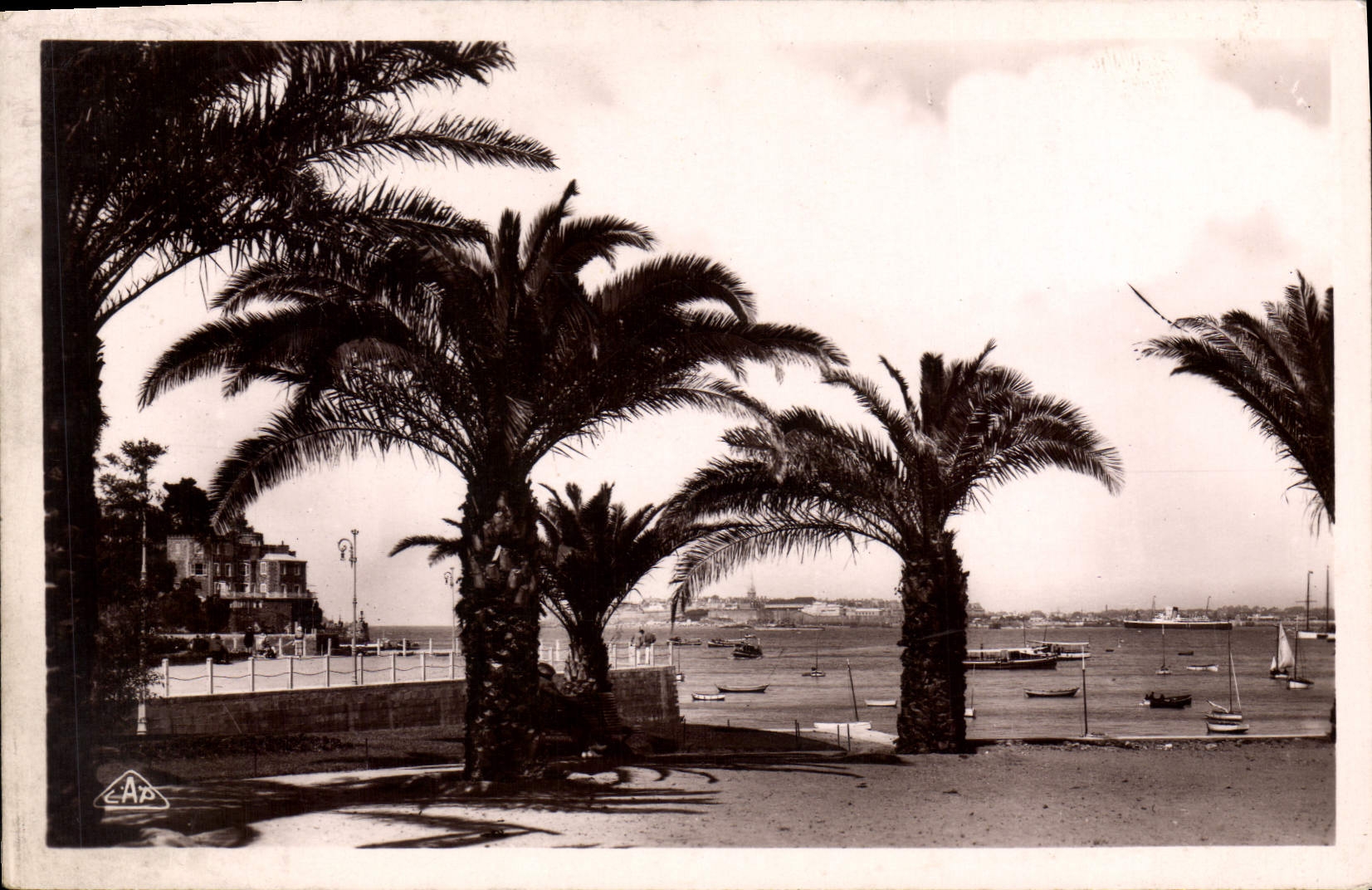 CPA Dinard Les Palmiers Au Fond St Malo Brittany