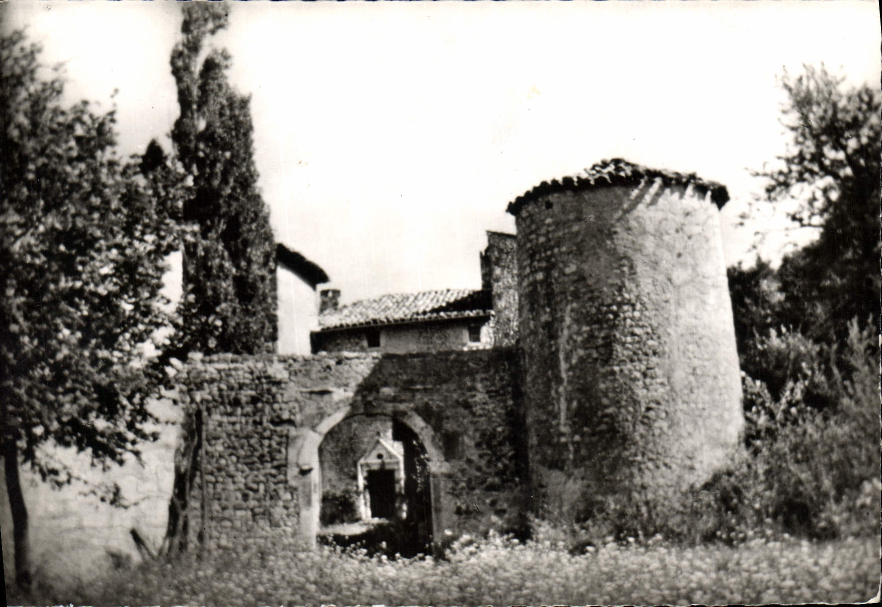 CPSM Chateau De Perdyer Menglon