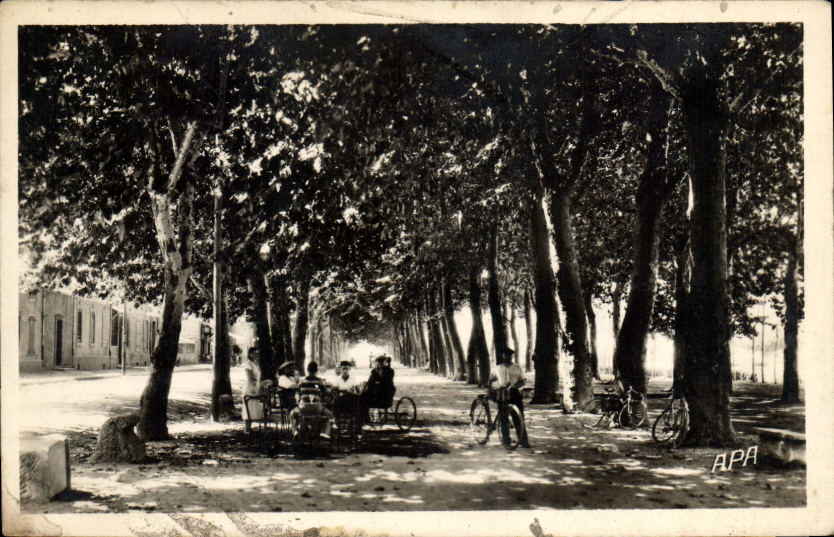 CPA Ales Promenade Des Platanes