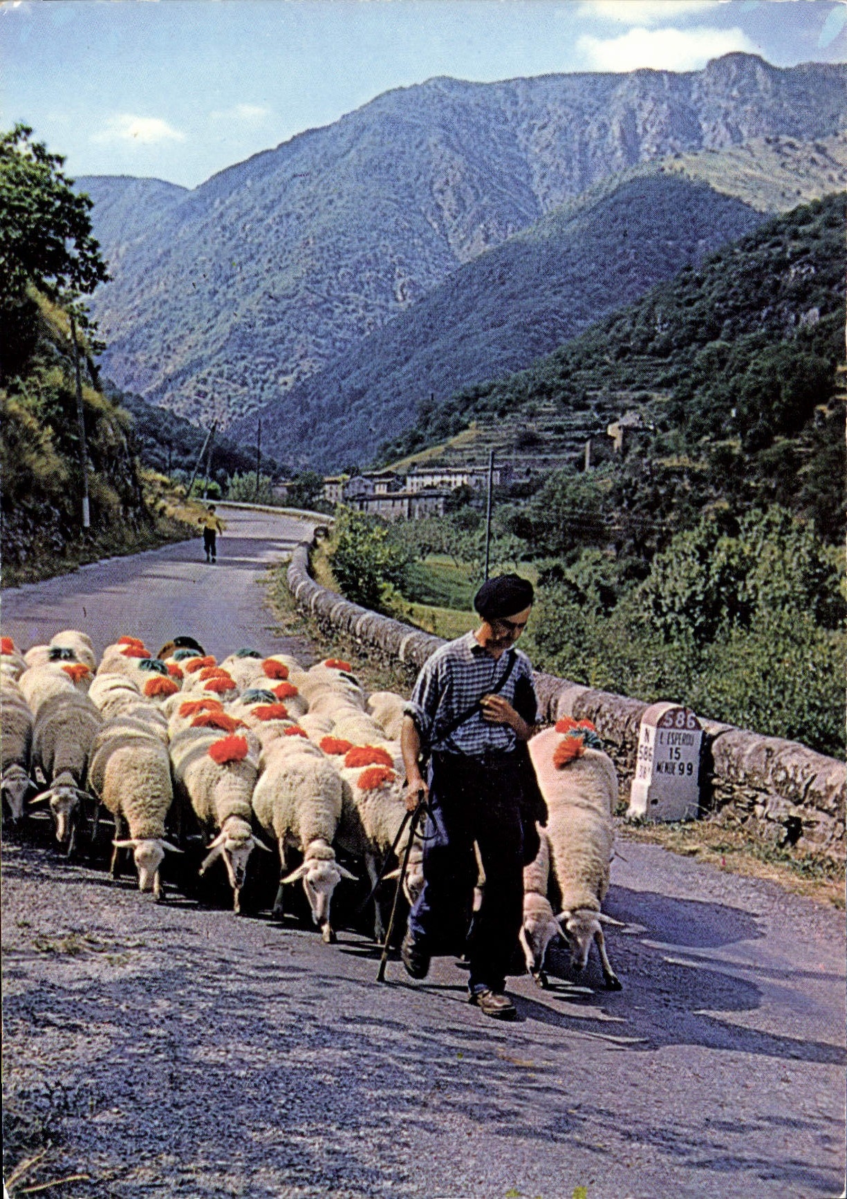CPSM Le Mont Aigoual Les Cevennes Touristiques