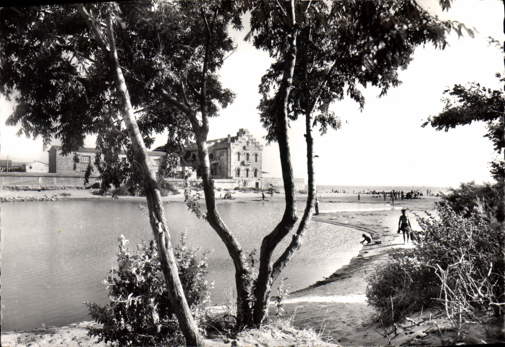 CPSM Le Grau Du Roi Le Chateau