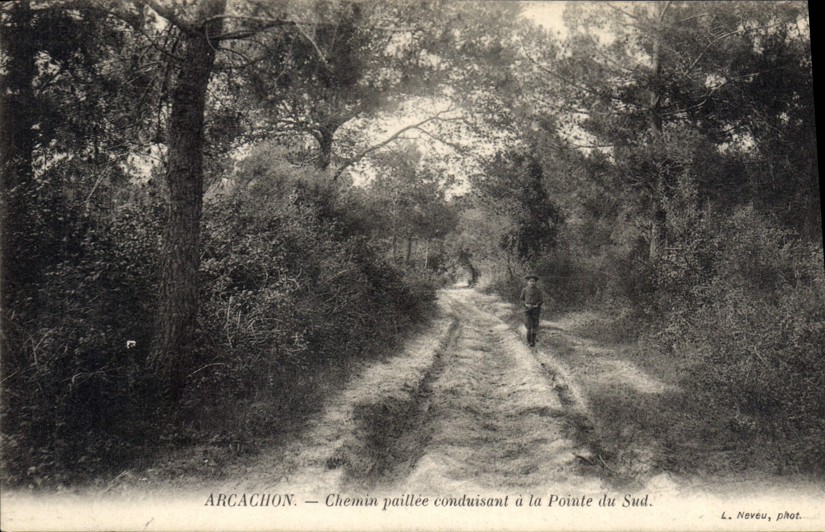 CPA Arcachon Chemin Paillee Conduisant A La Pointe Du Sud