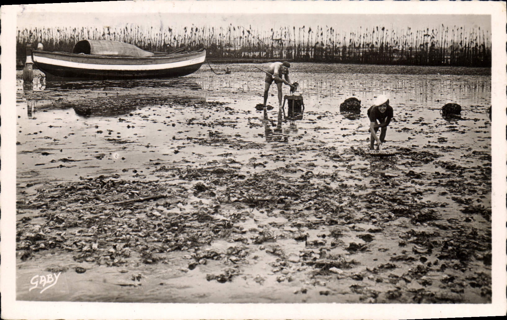 CPA Arcachon Bassin Pans Les Huitres