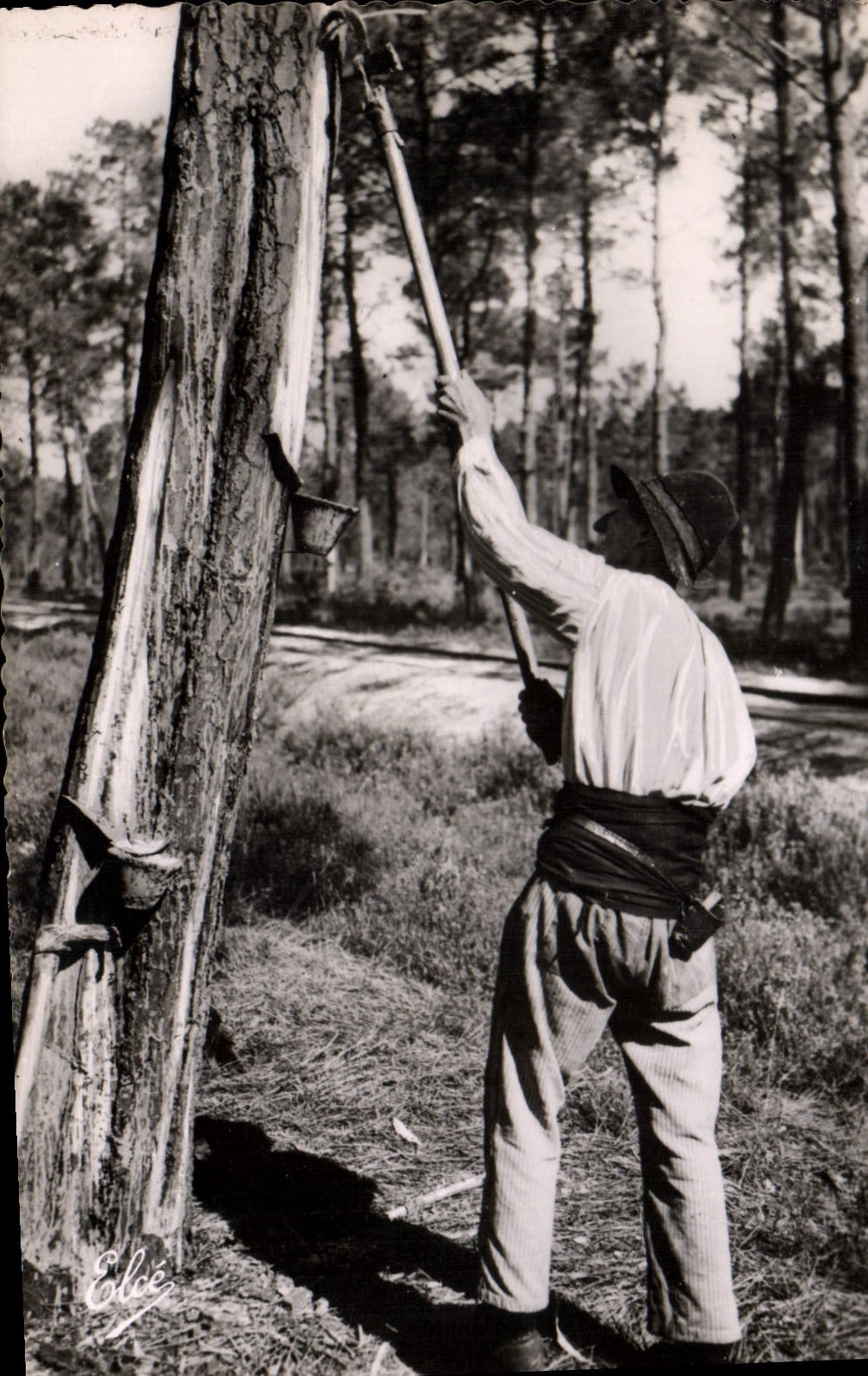 CPA La Lande Le Resinier Au Travail