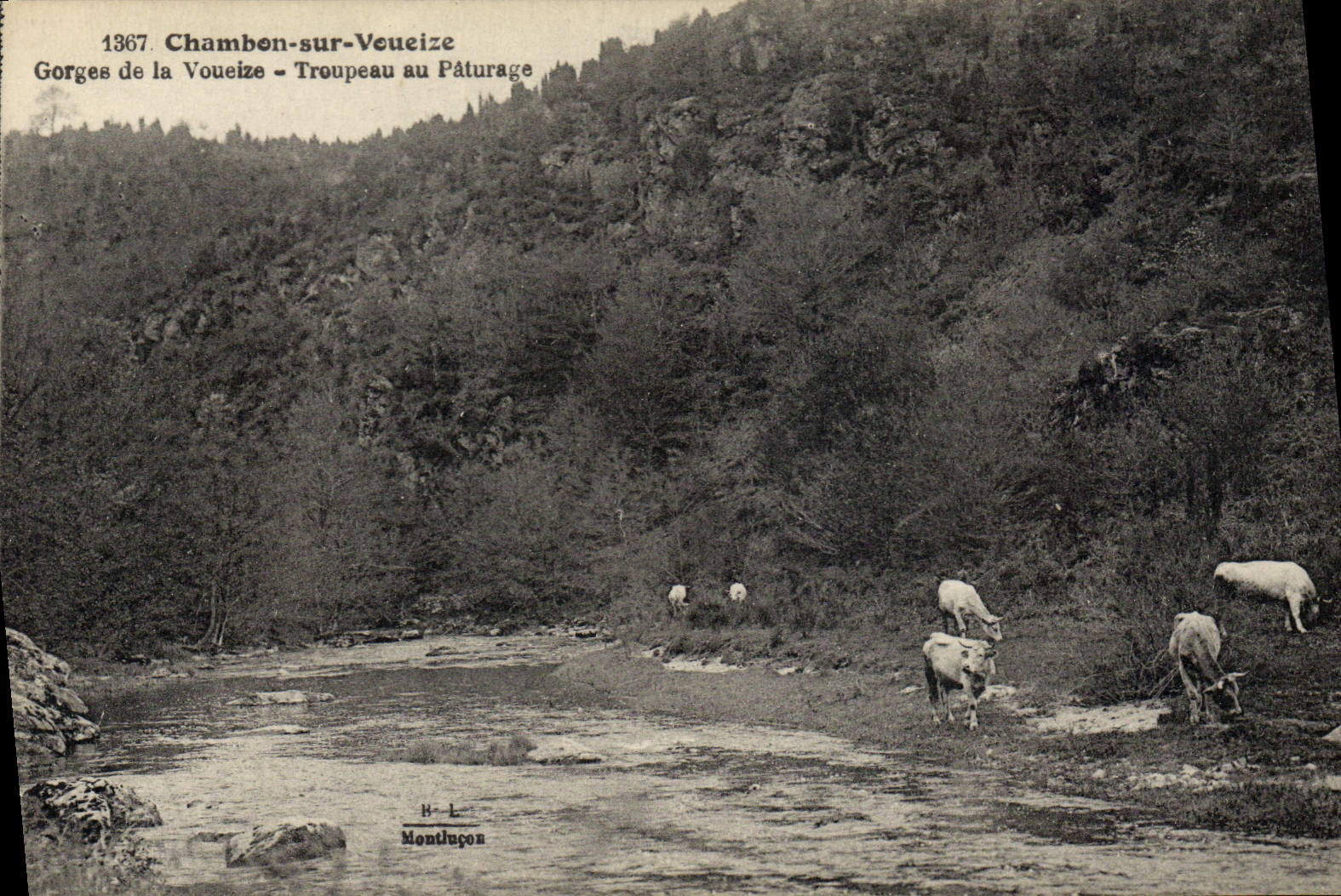 CPA Chambon Sur Voueize Gorges De La Voueize Troupeau Au Paturage