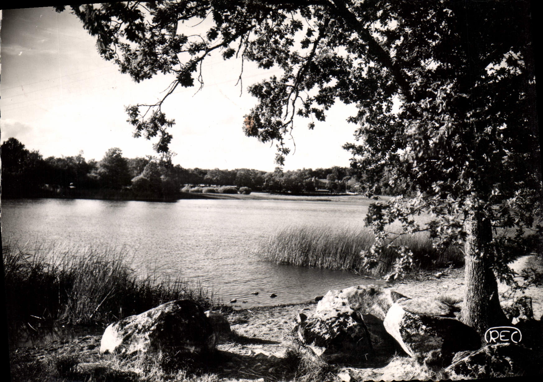CPSM Saint Vaury Creuse L'Etang