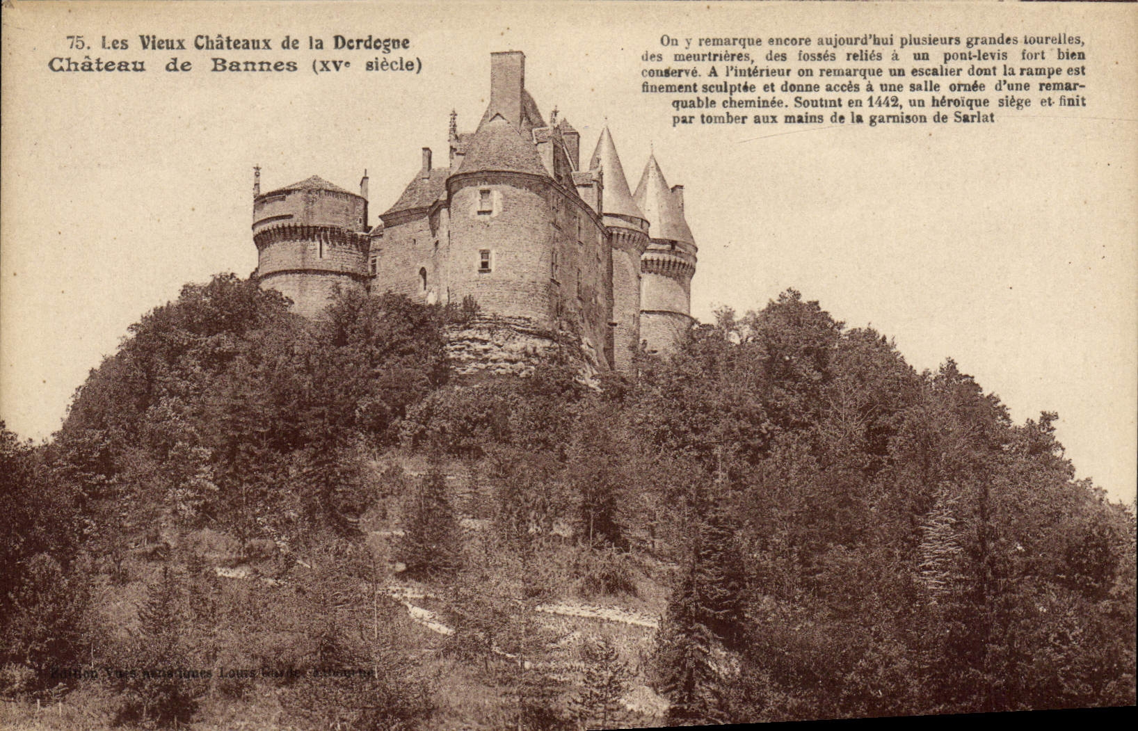 CPA Les Chateaux De La Dordogne Chateau De Bannes