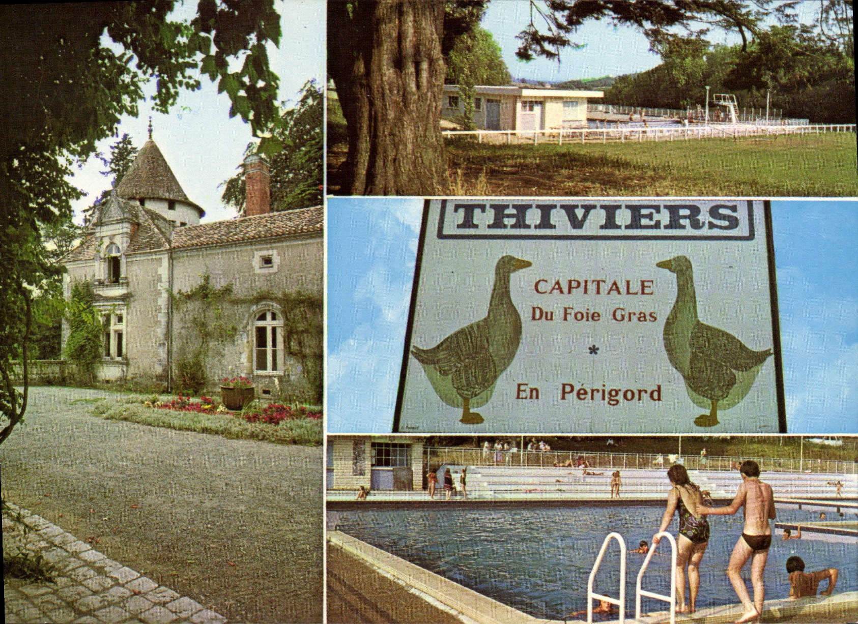 CPSM Thiviers Capitale Du Foi Gras