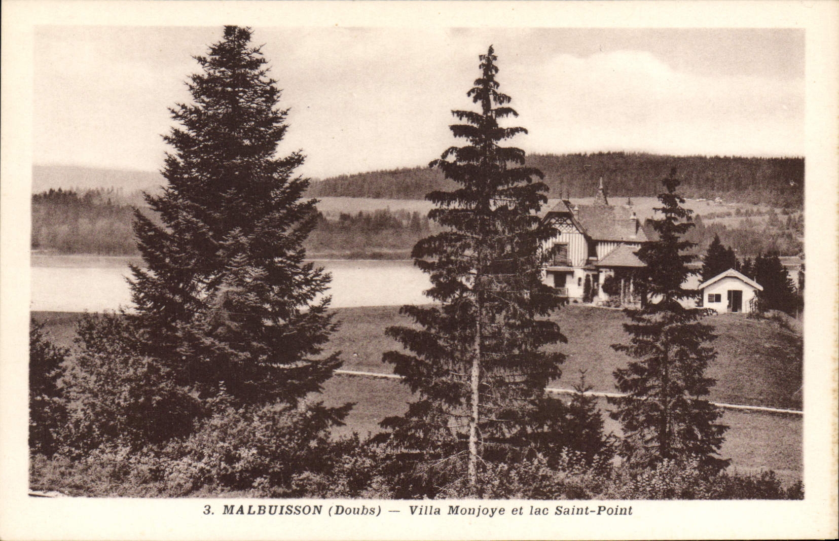 CPA Malbuisson Villa Monjoye Et Lac Saint Point