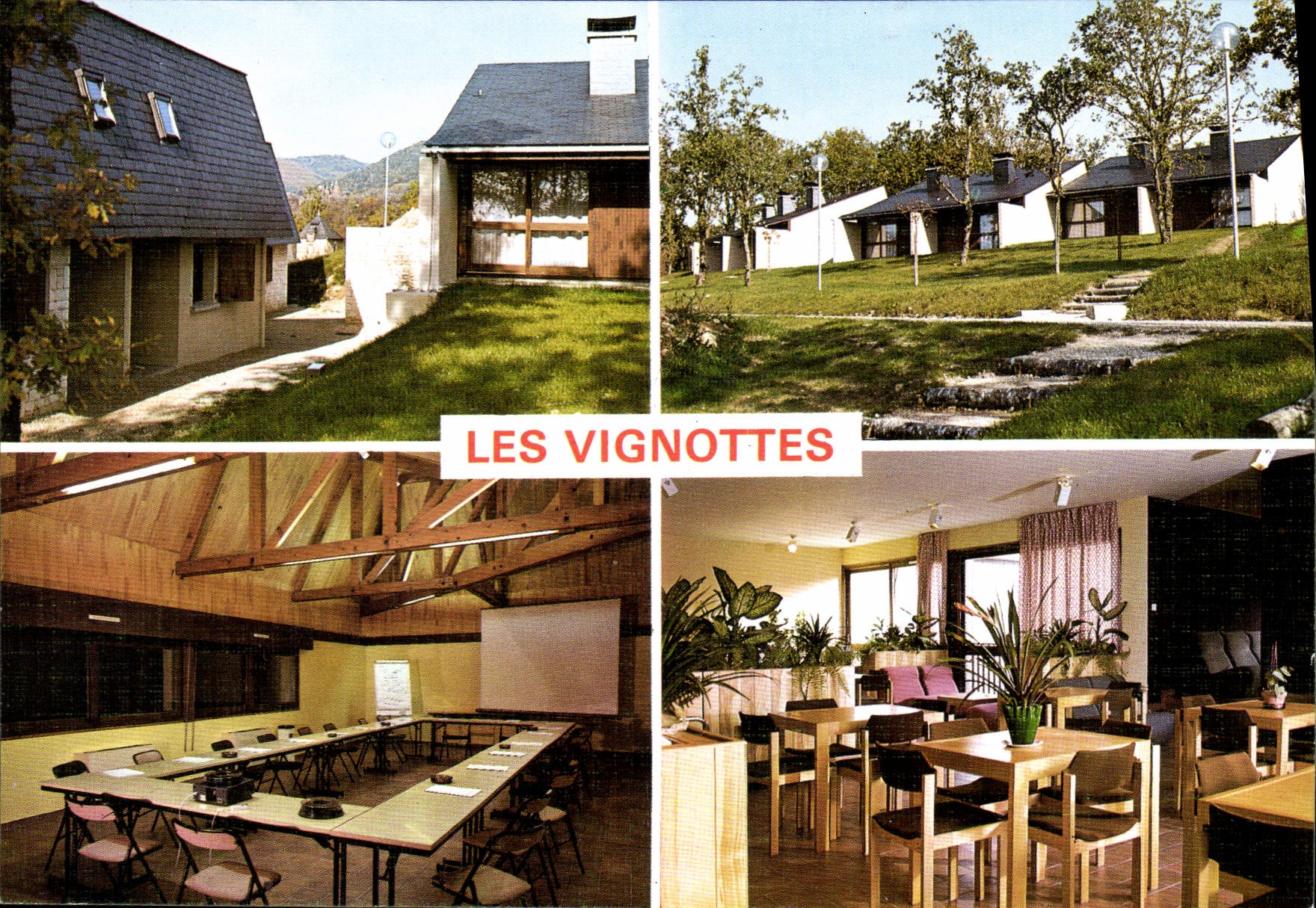 CPSM Les Vignottes Collonges La Roune