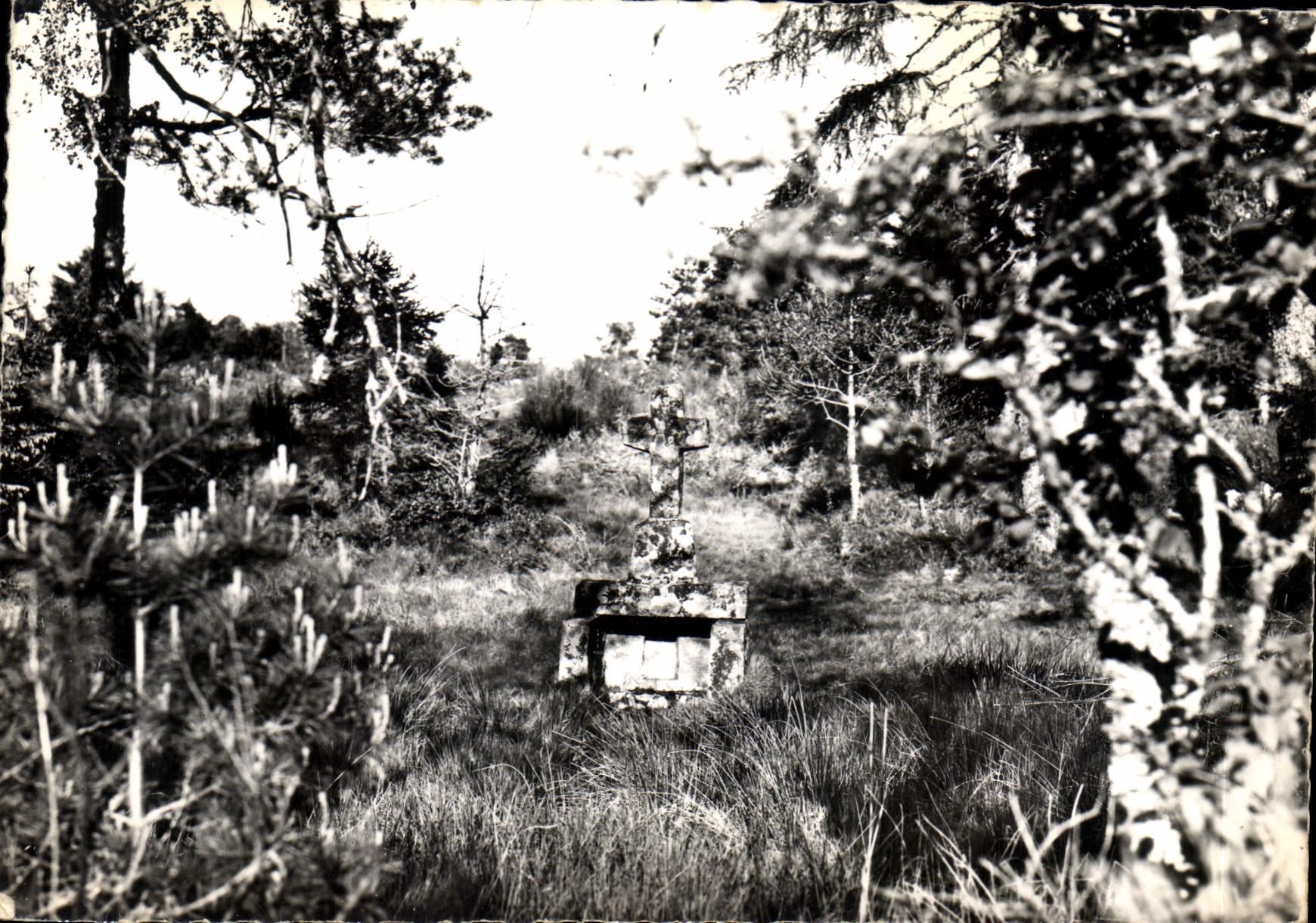 CPSM Saint Setiers La Fontaine Miraculeuse