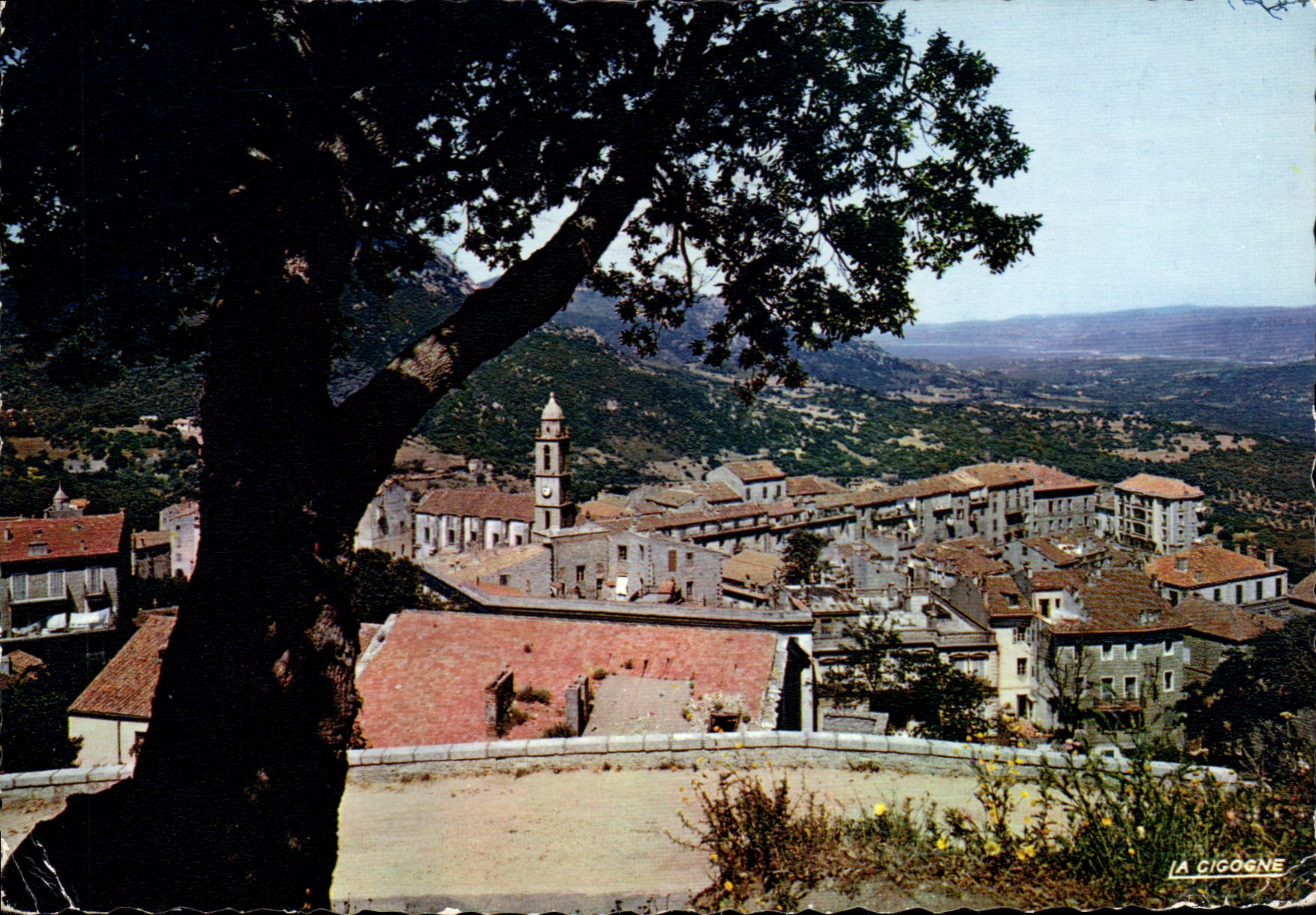 CPSM Sartene Dominant La Vallee Du Rizzanese