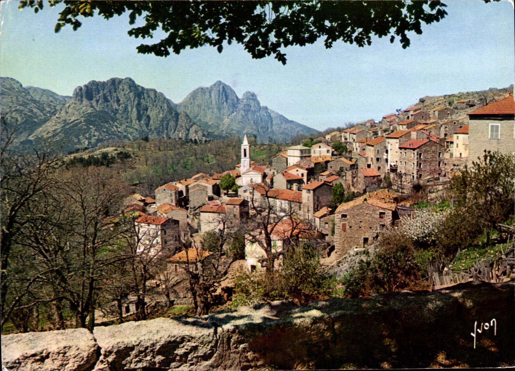 CPSM La Corse Casis De Beaute Evisa