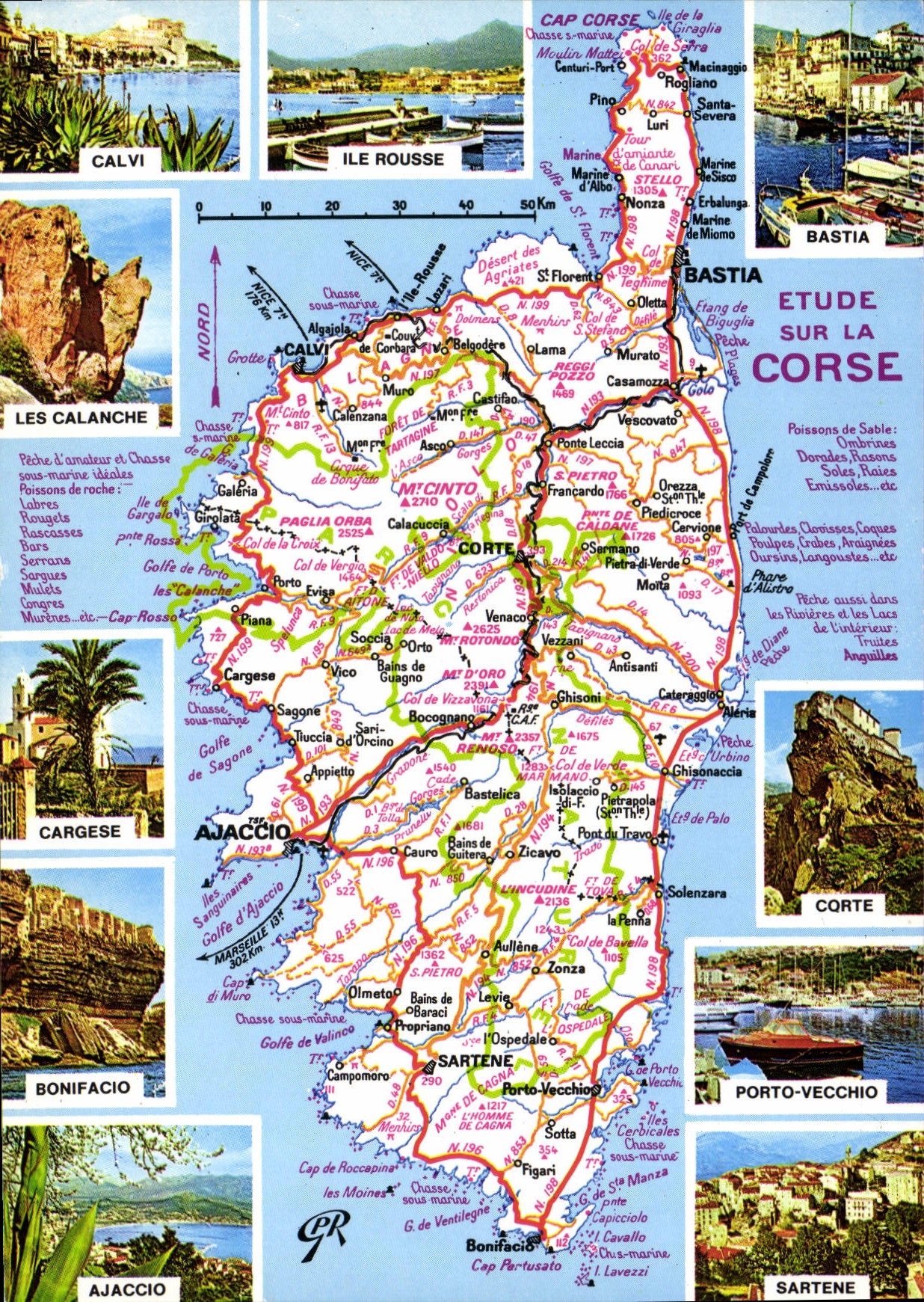 CPSM La Corse Ile De Beaute Cedee A La France Ajaccio