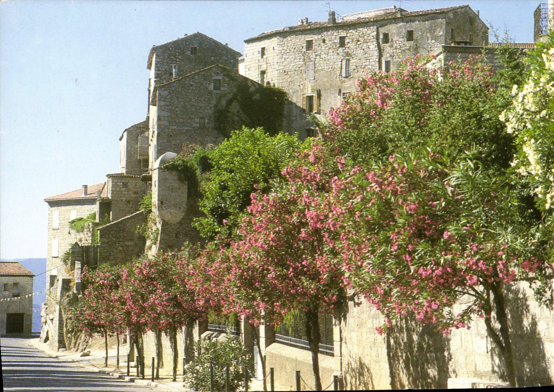 CPSM Panorma De La Corse Sartene