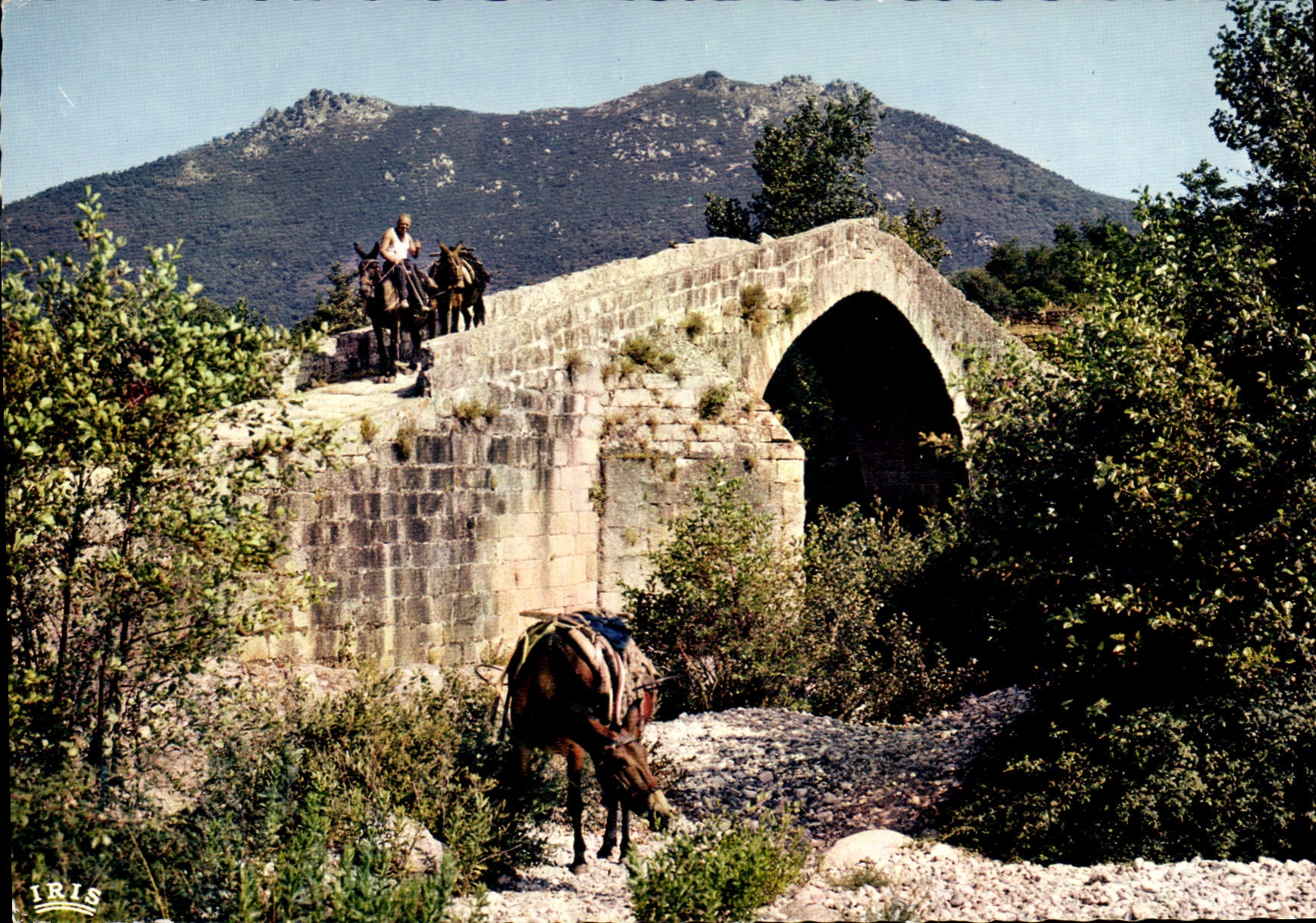 CPSM La Corse Pont Genois Du Aux Environs De Sartene
