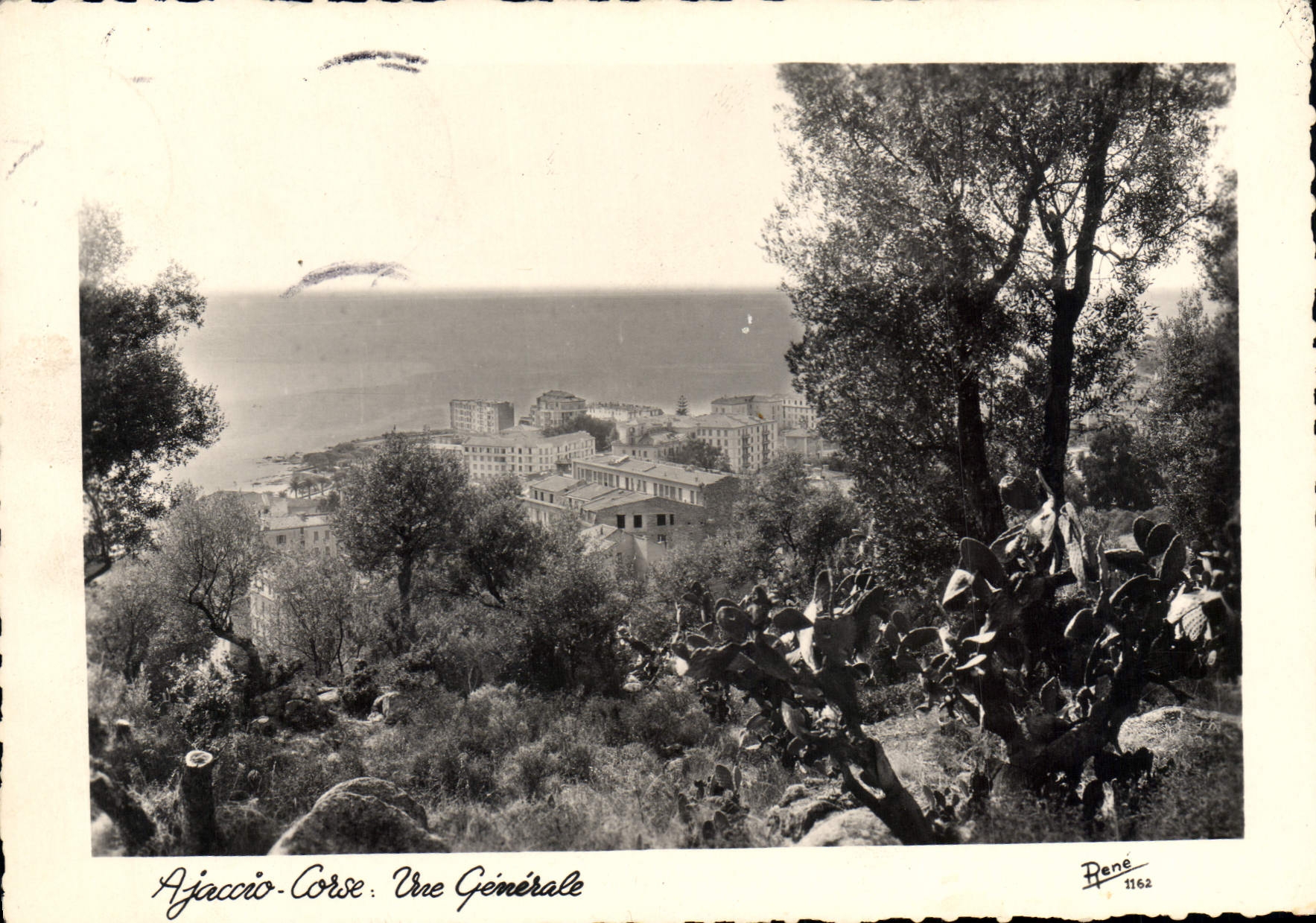 CPSM Ajaccio Corse Vue Generale