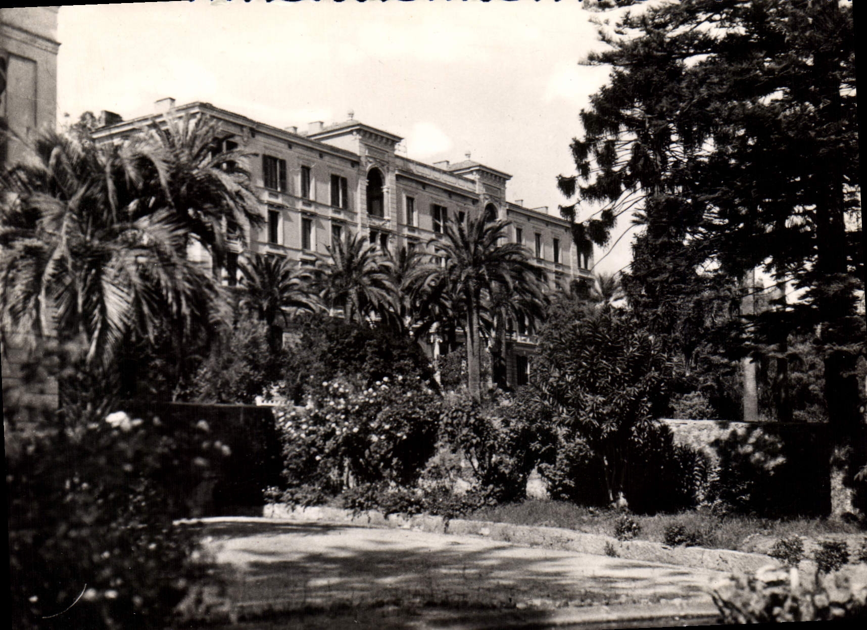 CPSM Ajaccio Reproduction Interdite