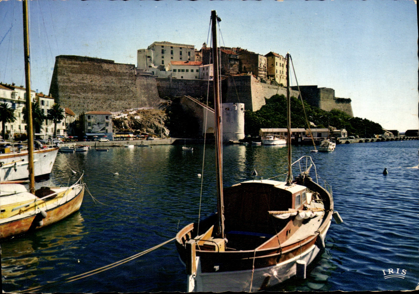 CPSM Calvi Les Vant Le Citadelle