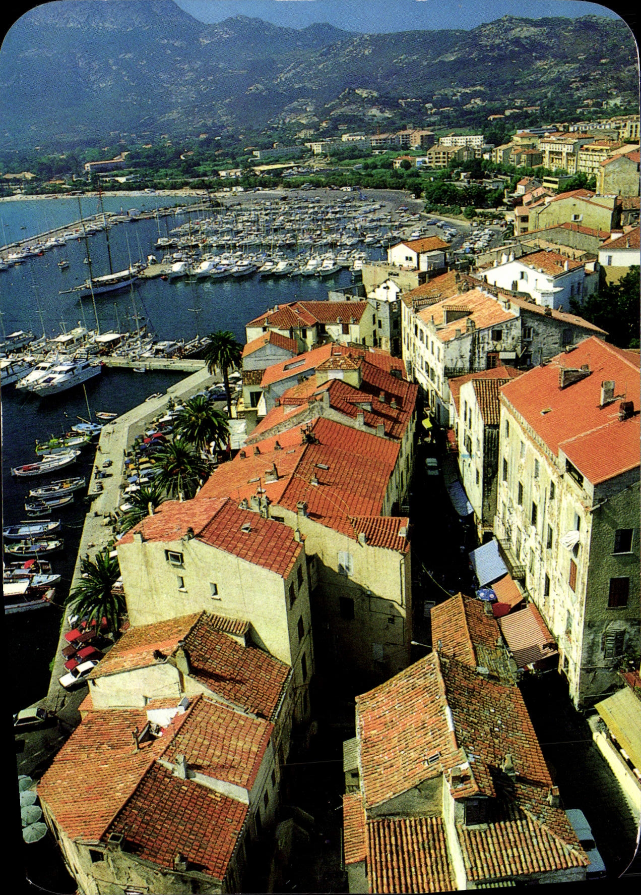 CPSM Calvi Les Hautes Maisons Blanches A Toits Rouges