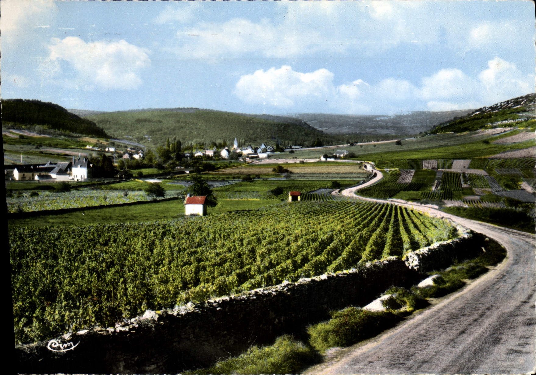 CPSM Auxey Duresses Vue Generale Sur Les Vignes