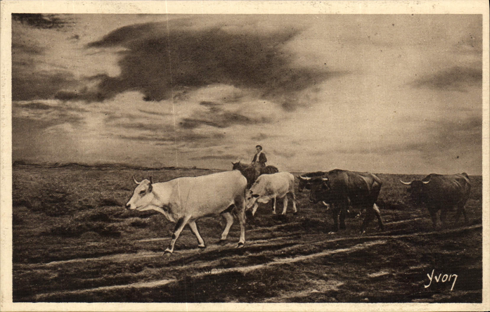 CPA La Douce France Les Landes de En rase lande Le Retour 