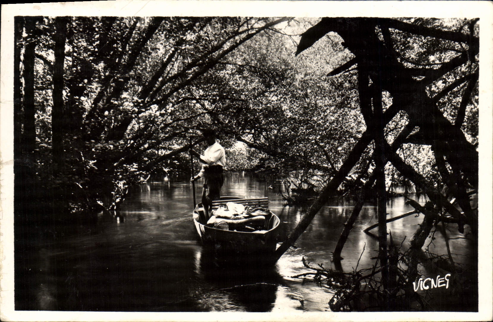 CPA Au Pays Landais Sous les Ombrages du Courant d'Huchet a Leon