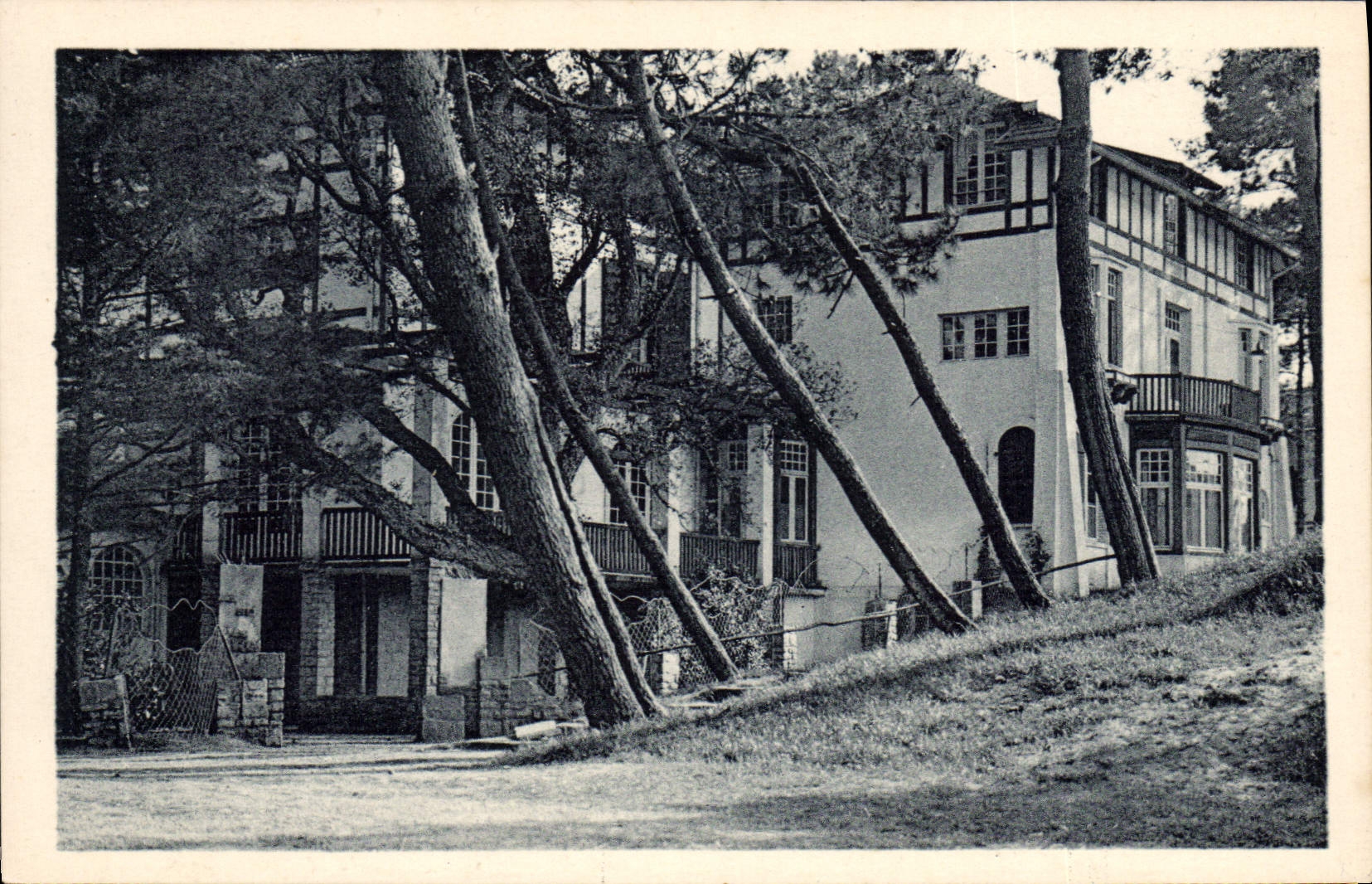 CPA Hossegor Les Hotels dans la Foret 