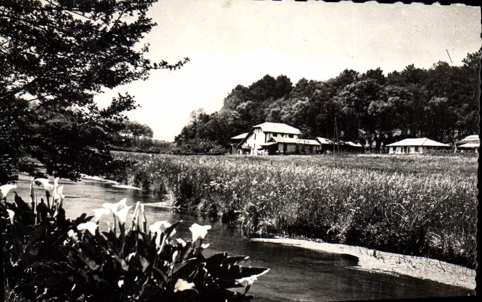 CPA Castets Landes Paysage a Fontaine Vive 