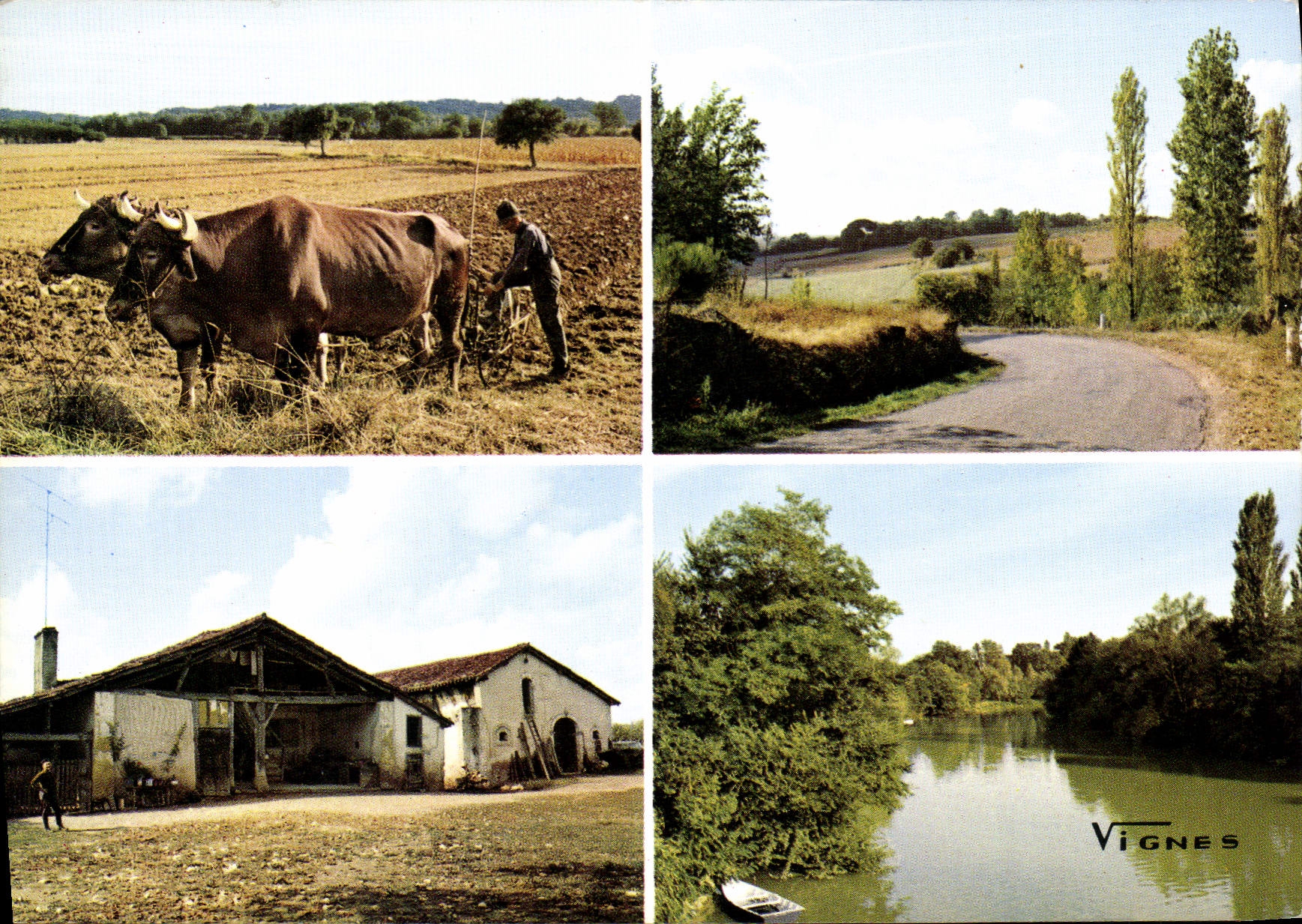 CPSM Visage des Landes Souriante Chalosse 