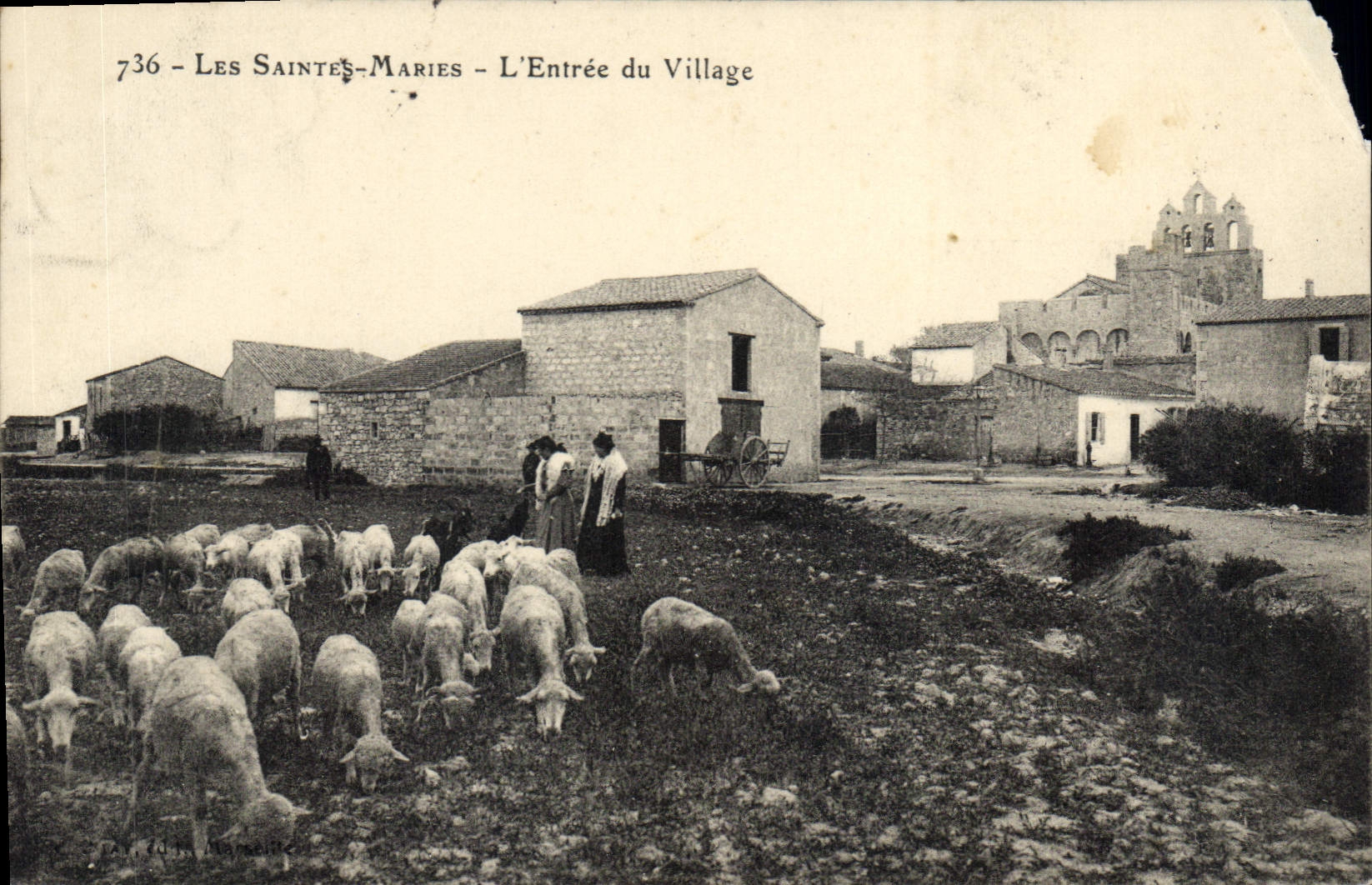 CPA Les Saintes Maries L'Entree du Village