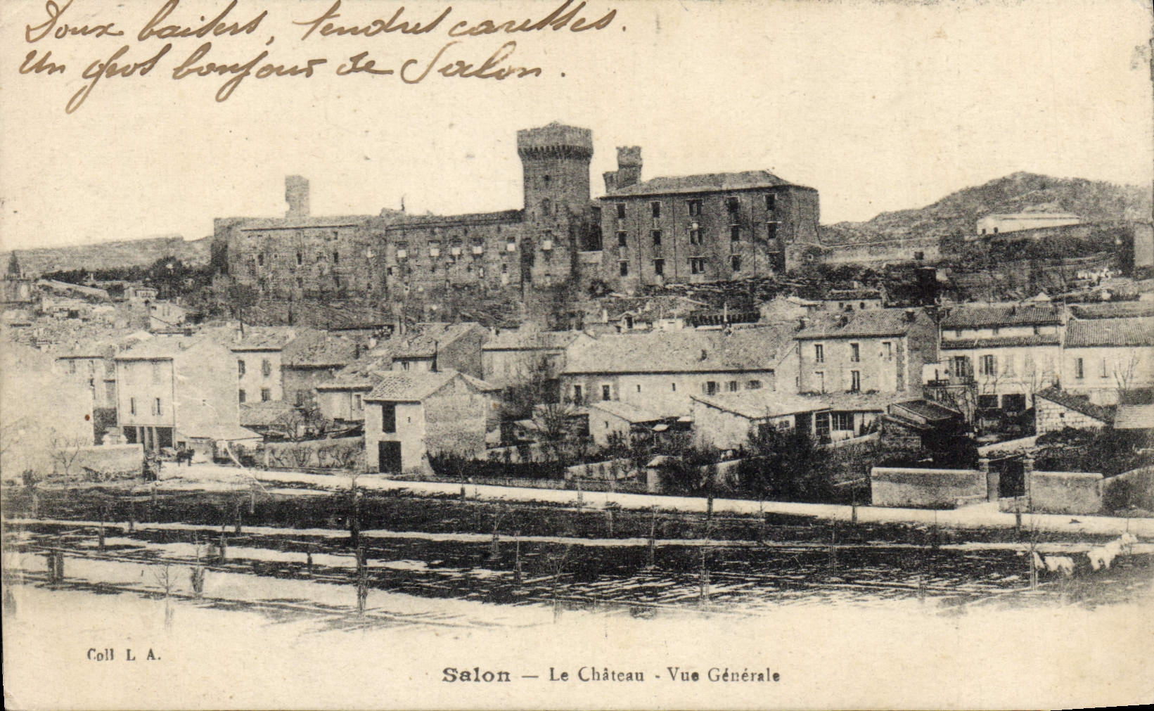 CPA Salon Le Chateau Vue Generale 