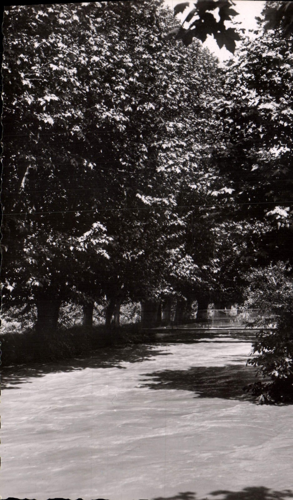 CPA Charleval Bouches du Rhone Une passerelle sur le canal de Craponne 