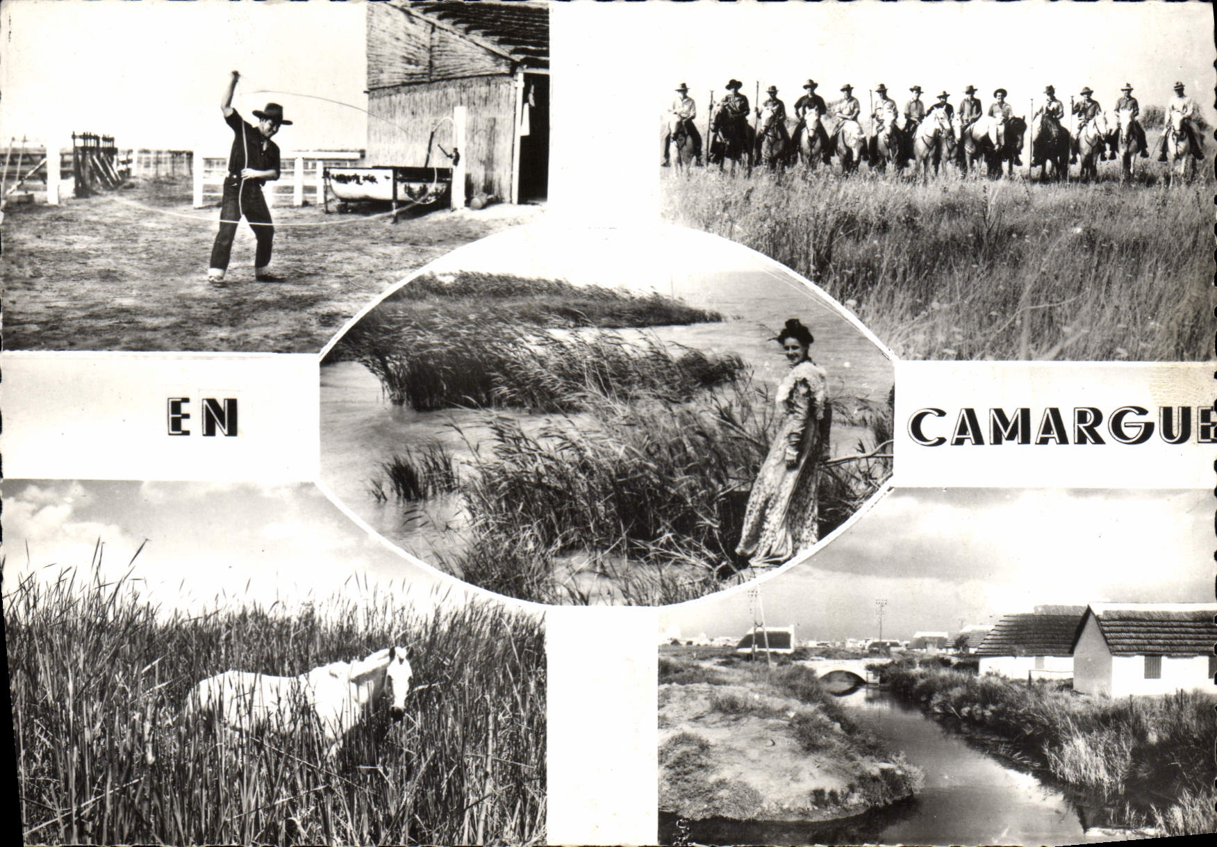 CPSM En Camargue Le jeu du Lasso Gardians 