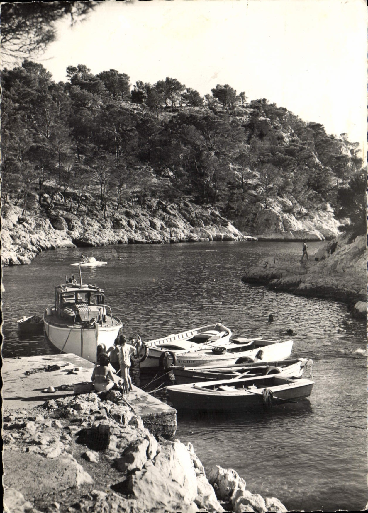 CPSM Cassis Le Port pin et les calanques