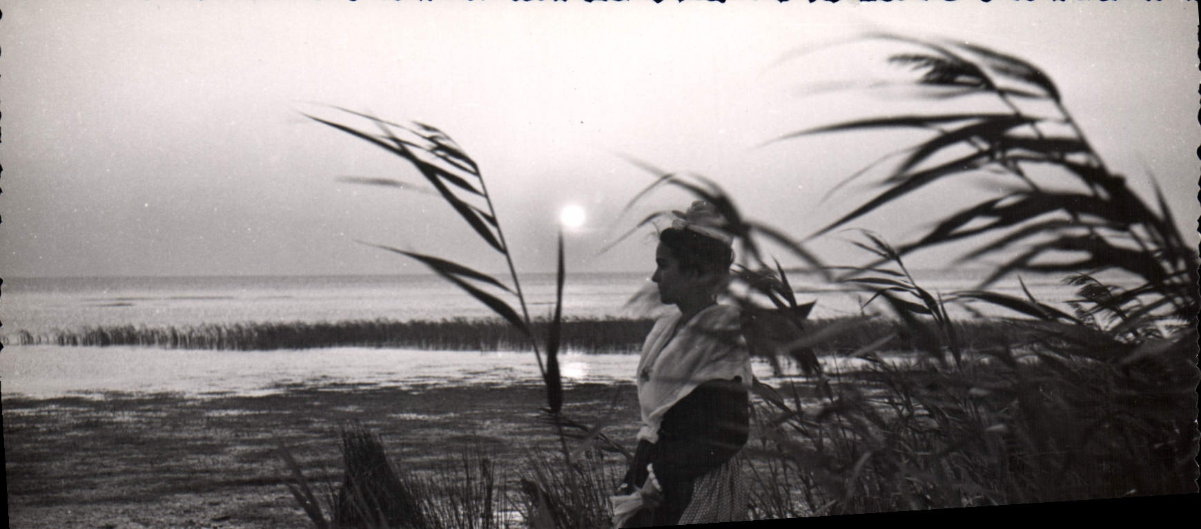 CPSM  coucher de soleil sur le Vaccarès