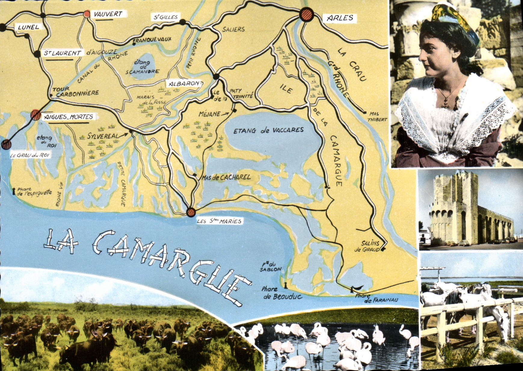 CPSM La Camargue Arles 