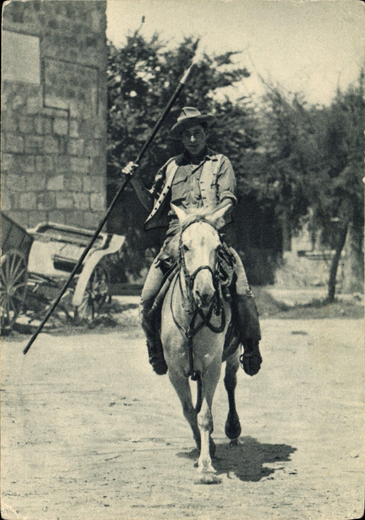 CPSM Provence et Camargue 