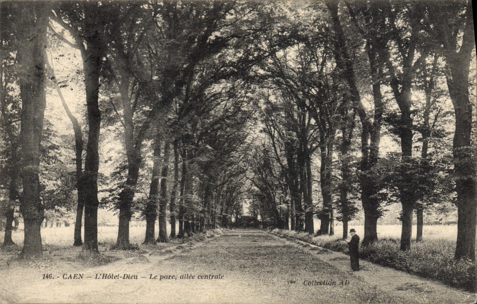 CPA Caen L'Hotel Dieu Le parc allee centrale 