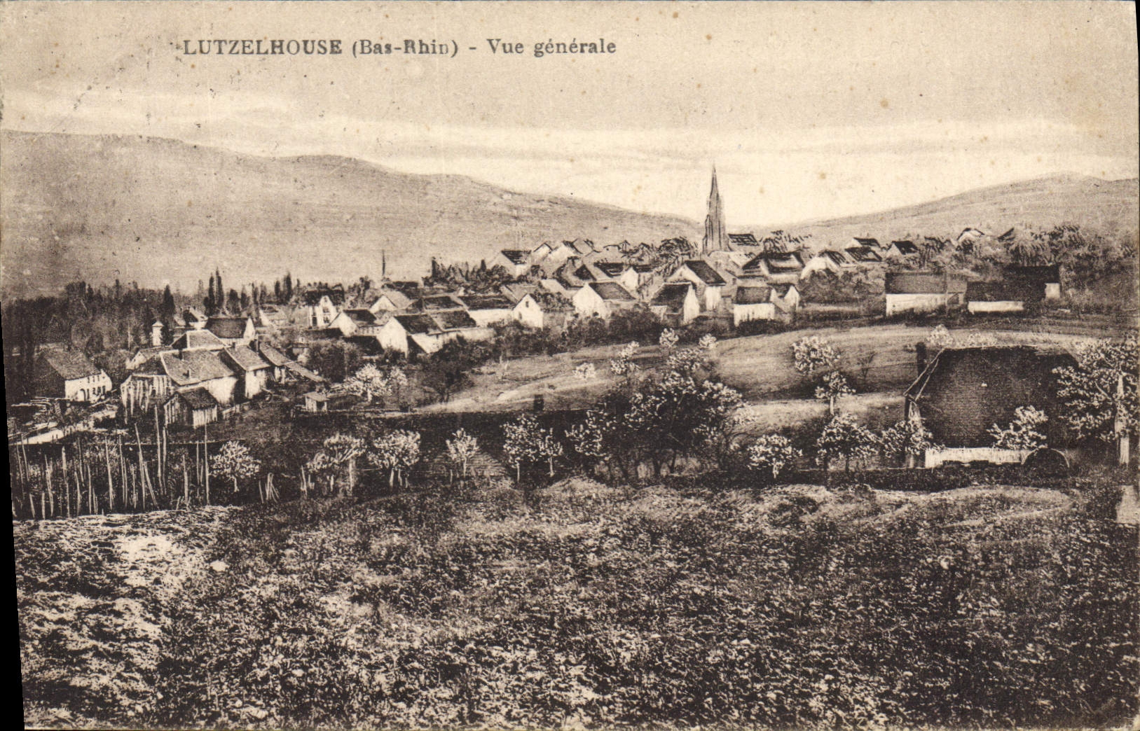 CPA Lutzelhouse Bas Rhin Vue generale
