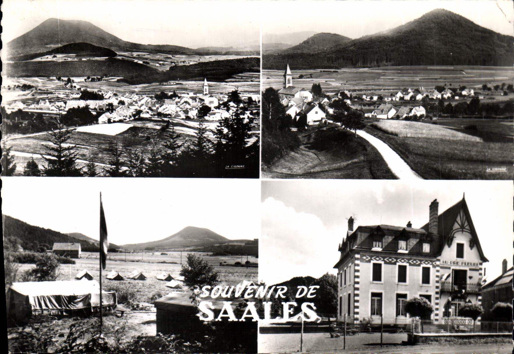 CPSM Souvenir de Saales 