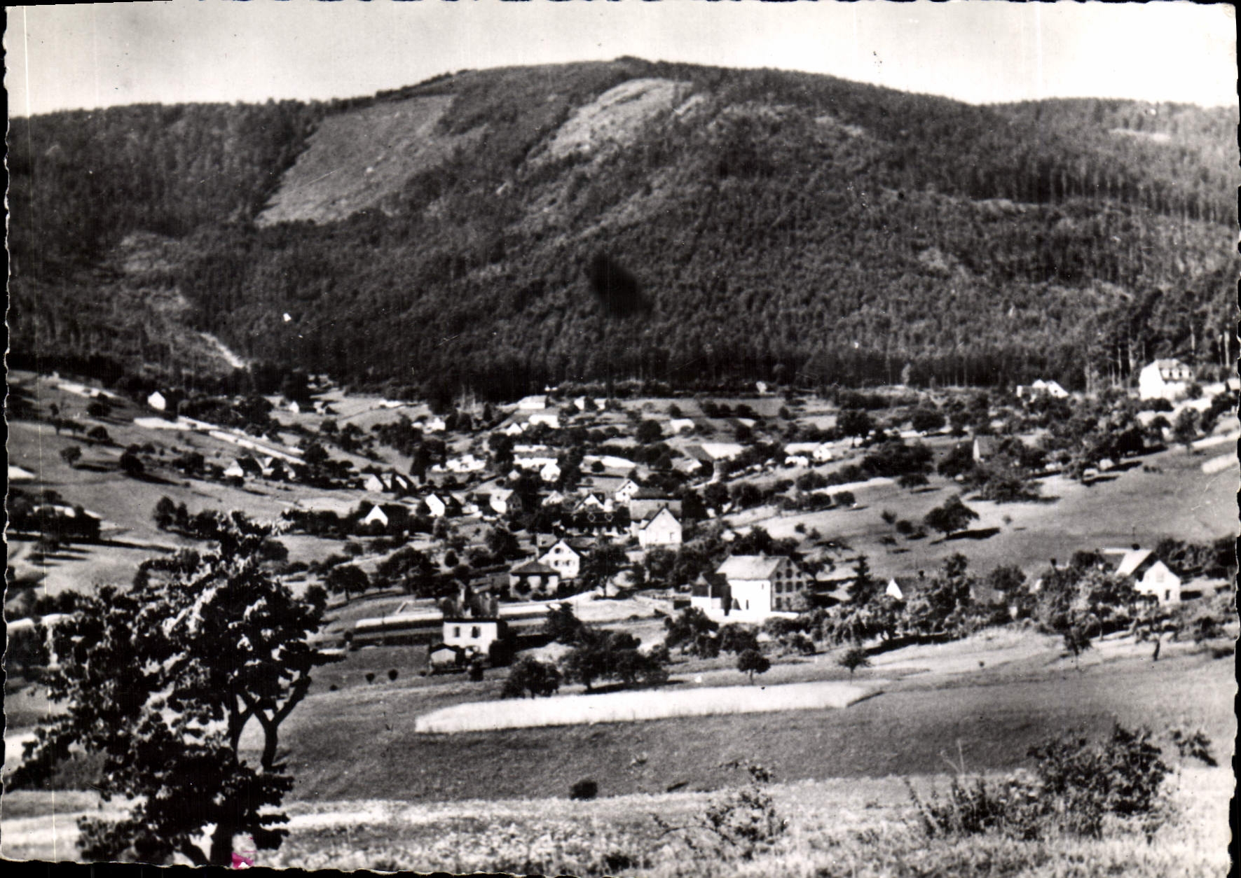 CPSM Wangenbourg La Suisse d'Alsace
